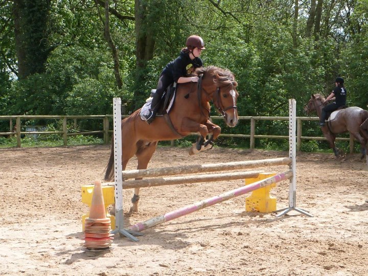 389738 3437525989668 784143262 n