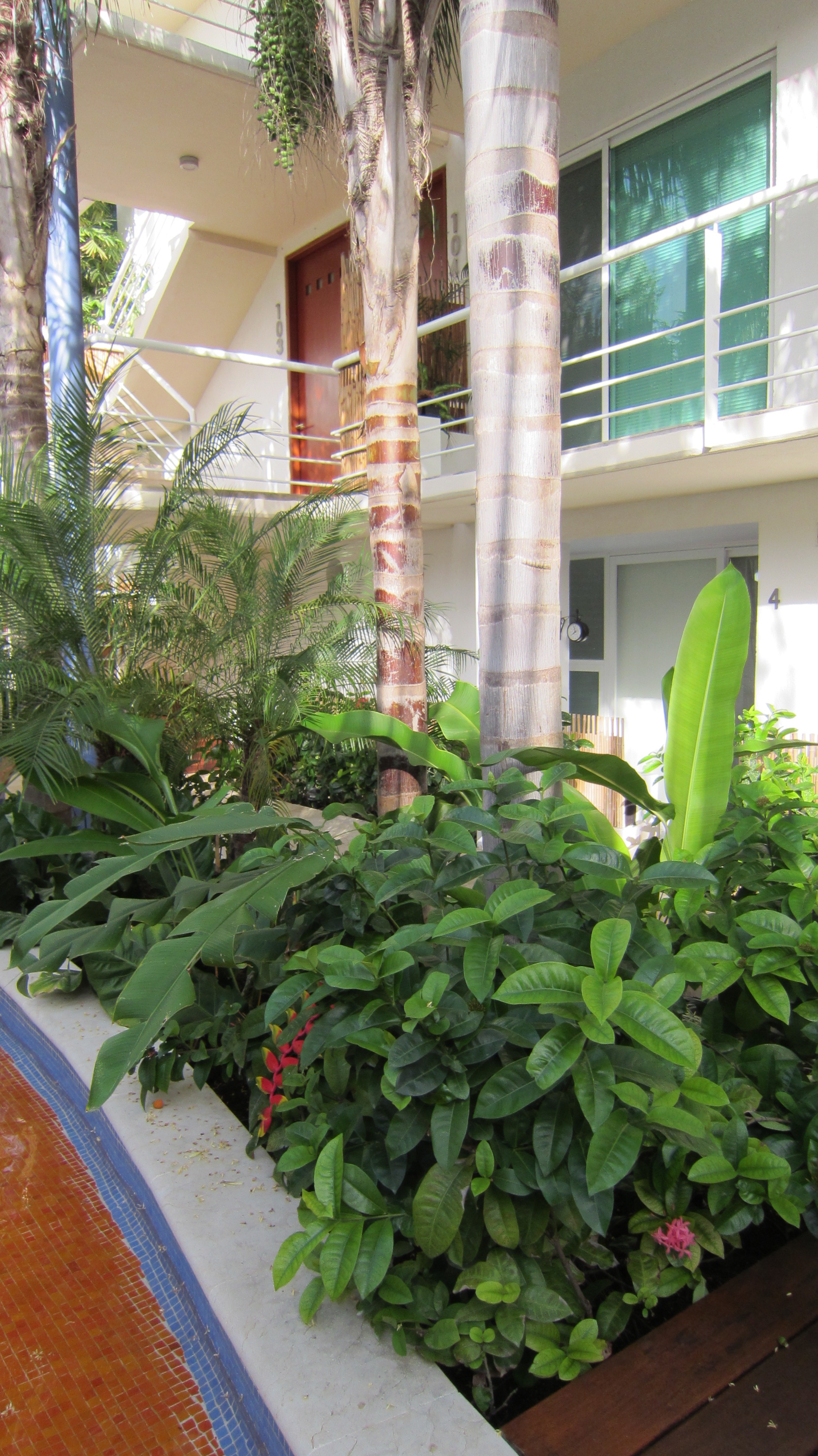 Playa Del Carmen Ete 2012 503