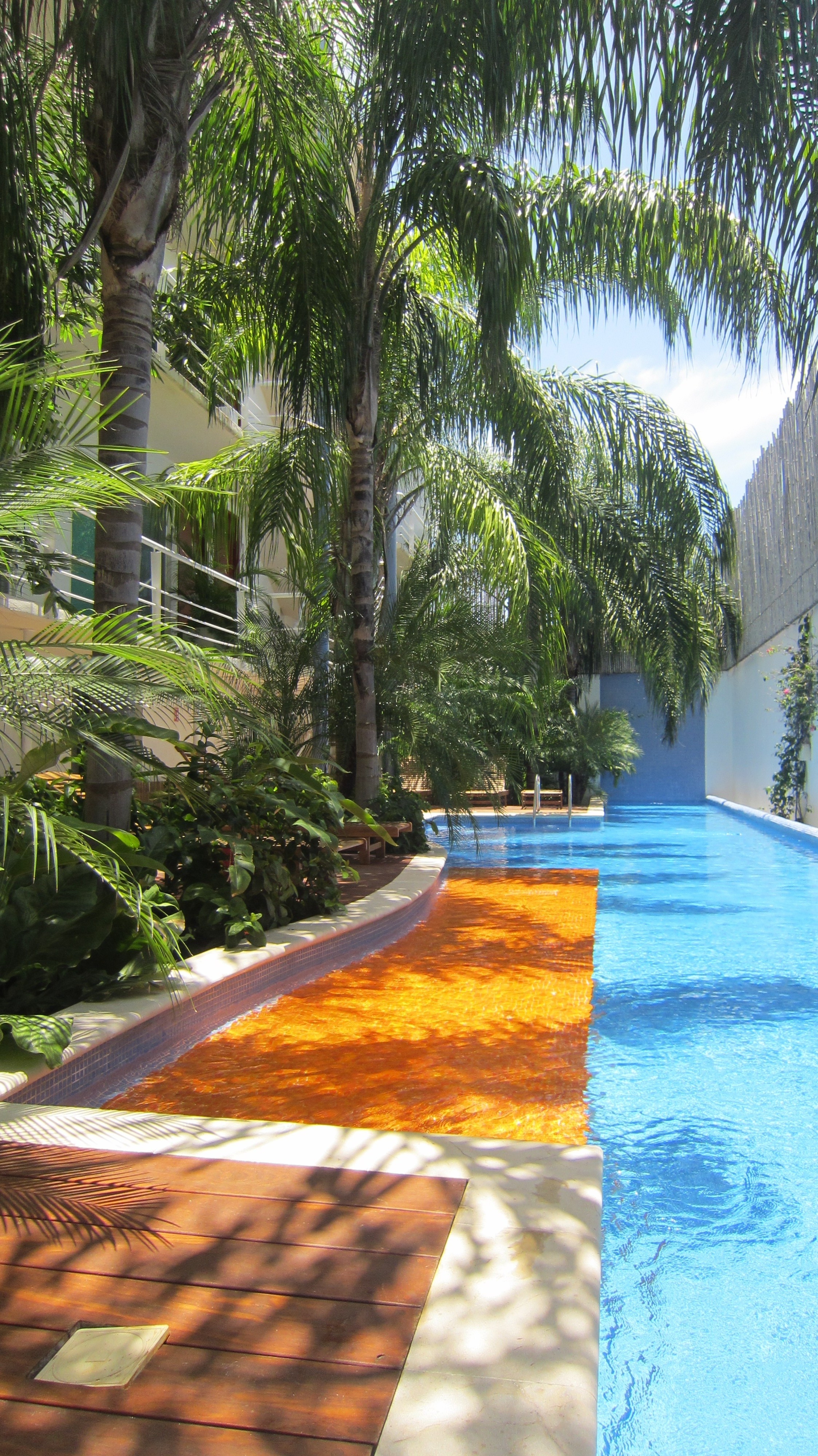Playa Del Carmen Ete 2012 028
