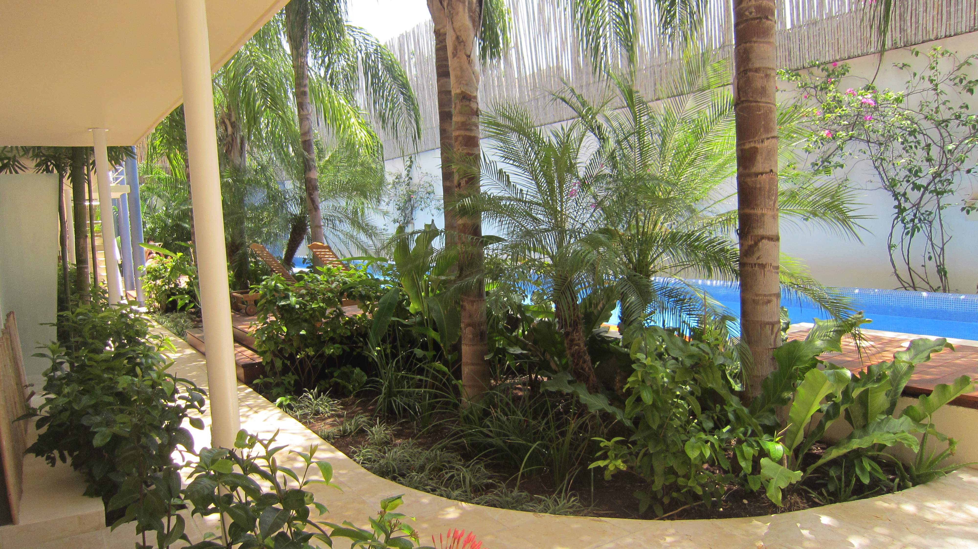 Playa Del Carmen Ete 2012 113