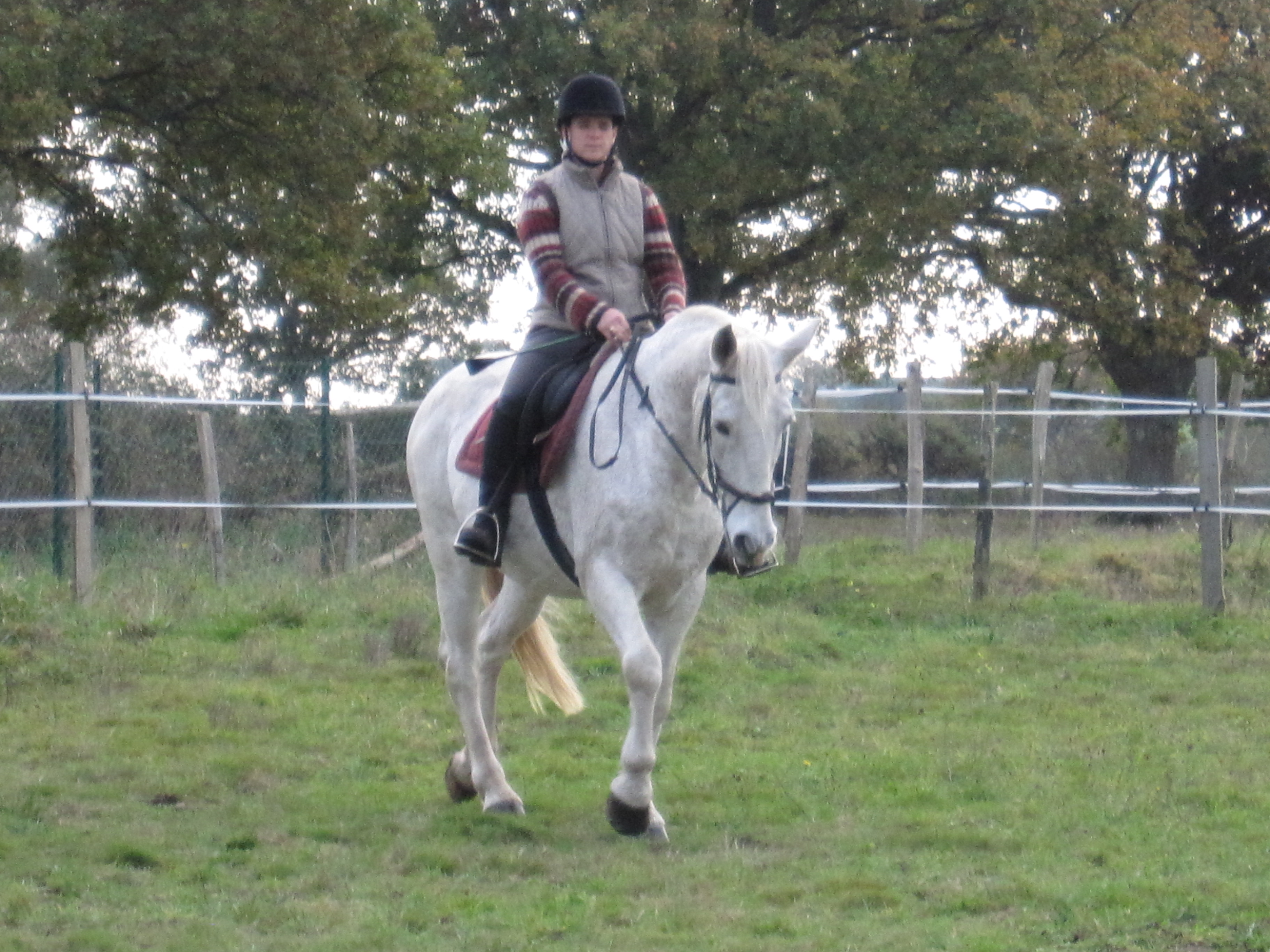Novembre 2011 141