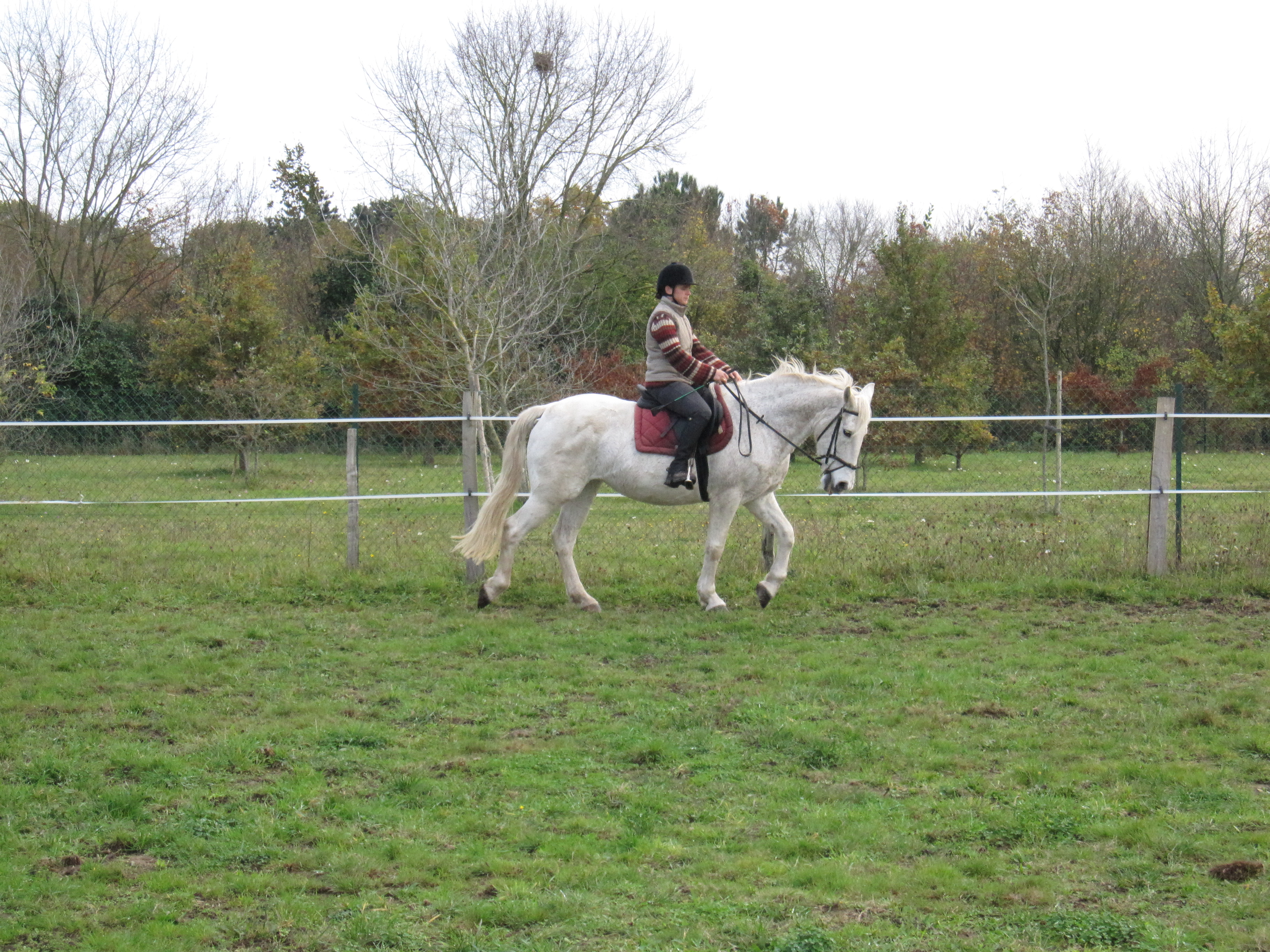 Novembre 2011 142