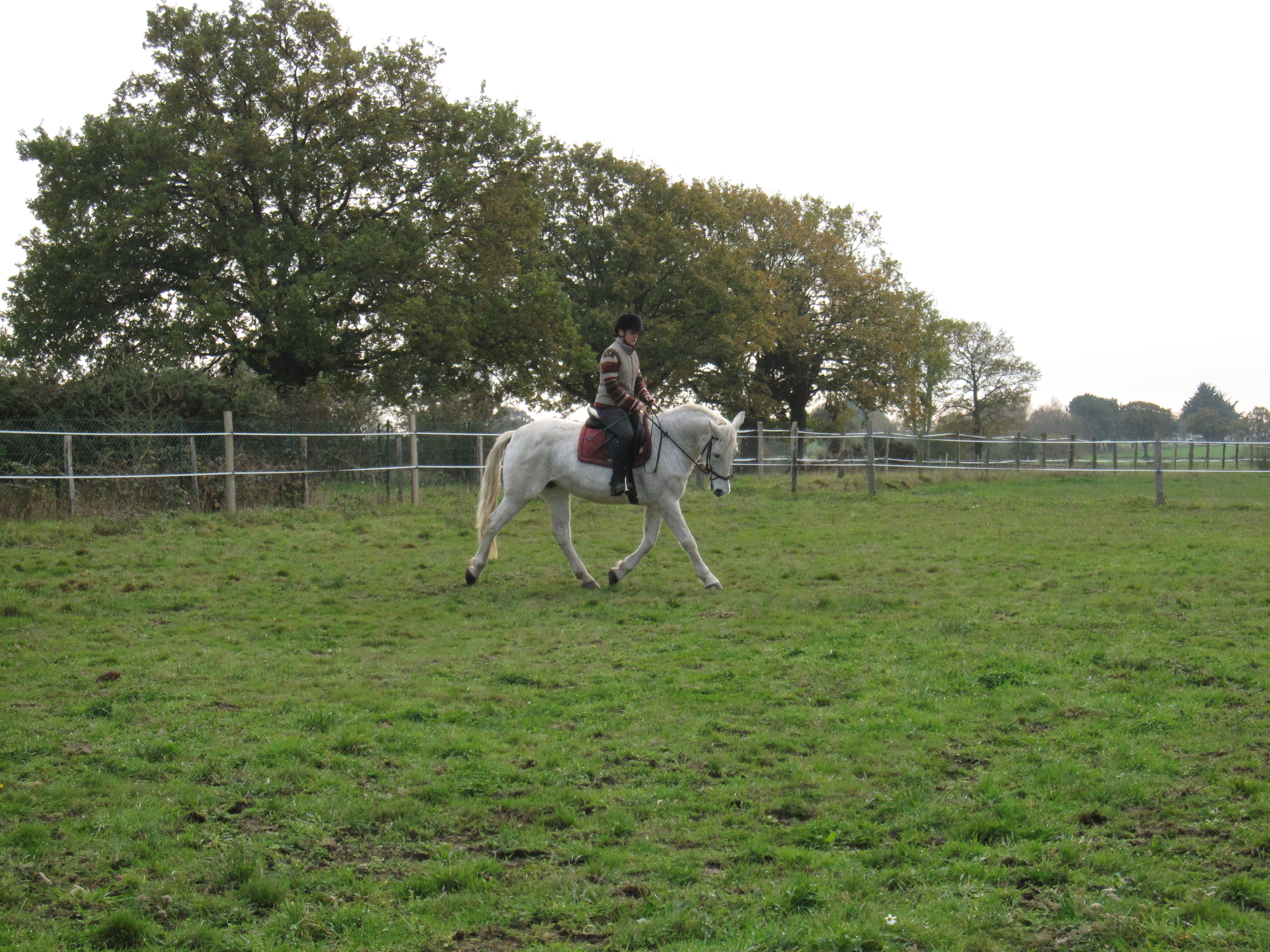 Novembre 2011 144