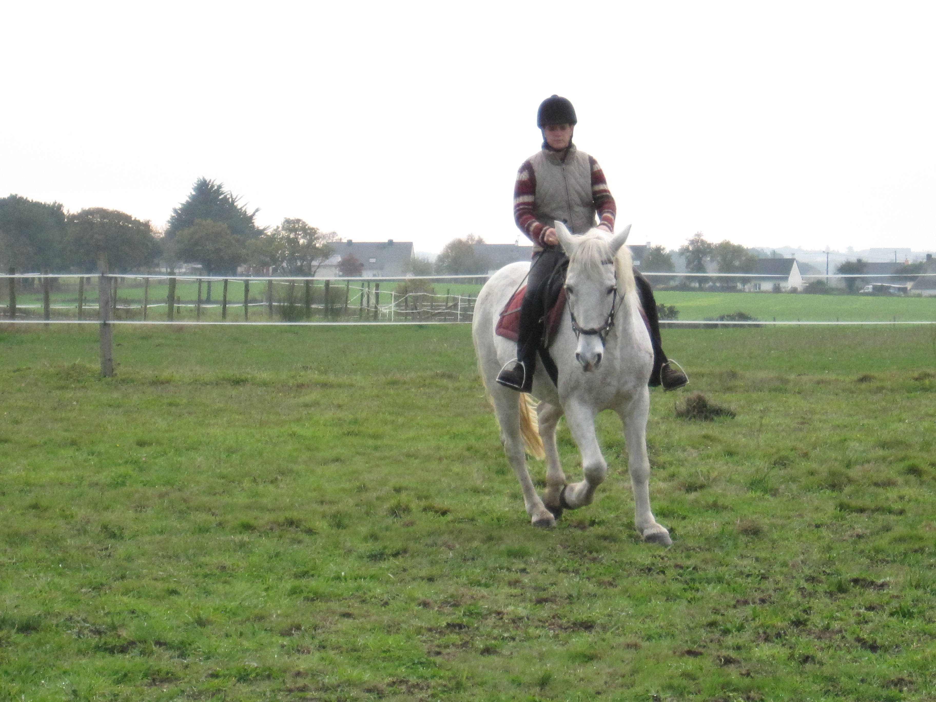 Novembre 2011 145