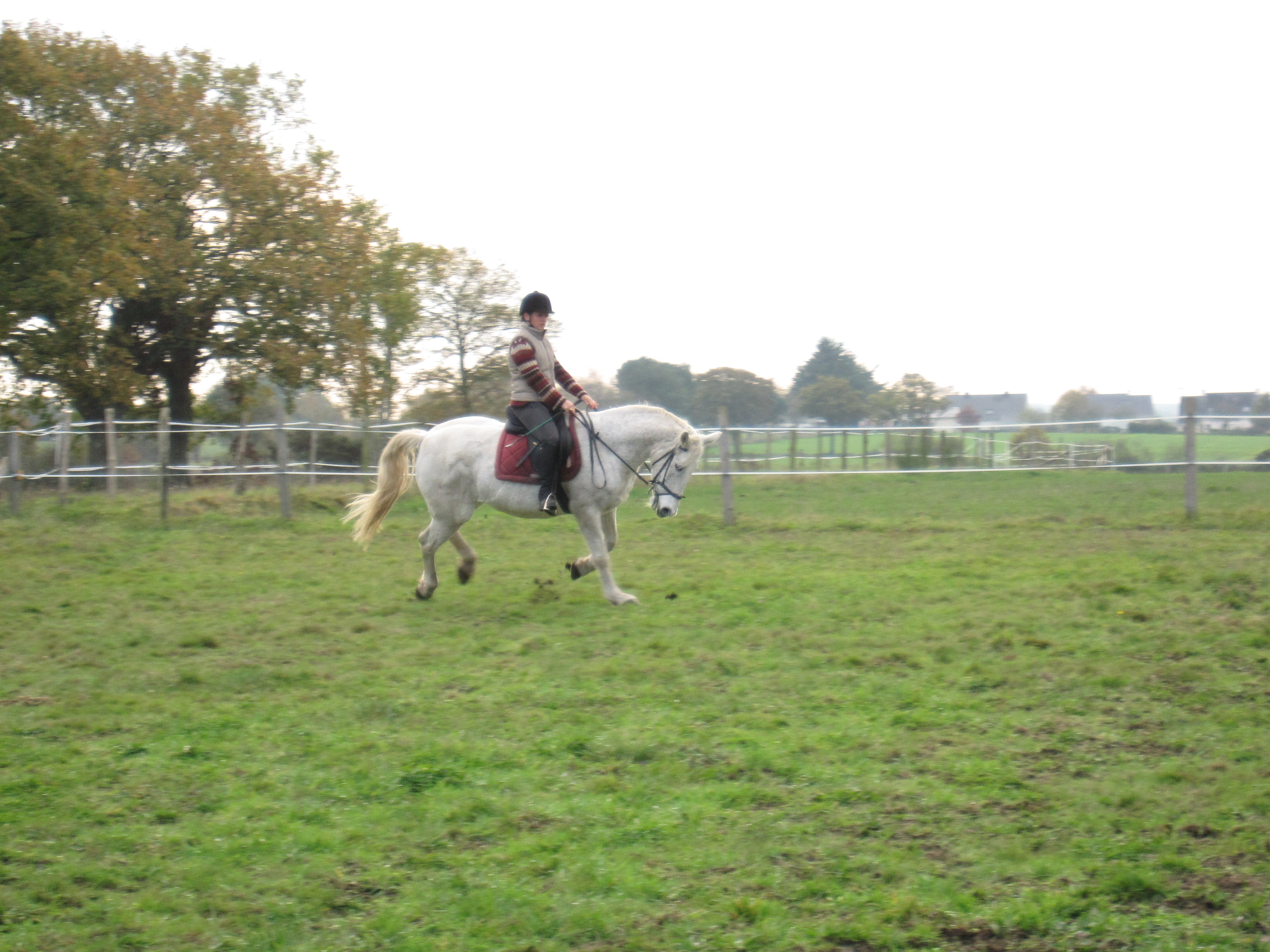 Novembre 2011 147