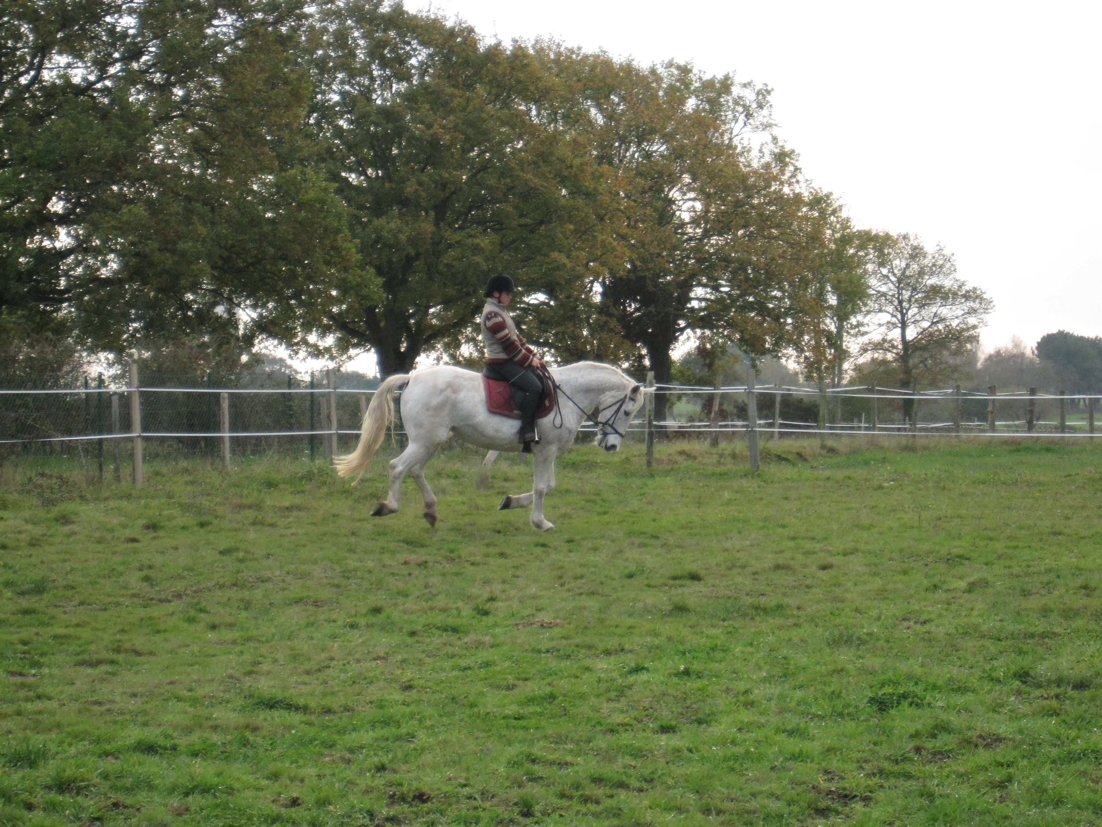 Novembre 2011 148
