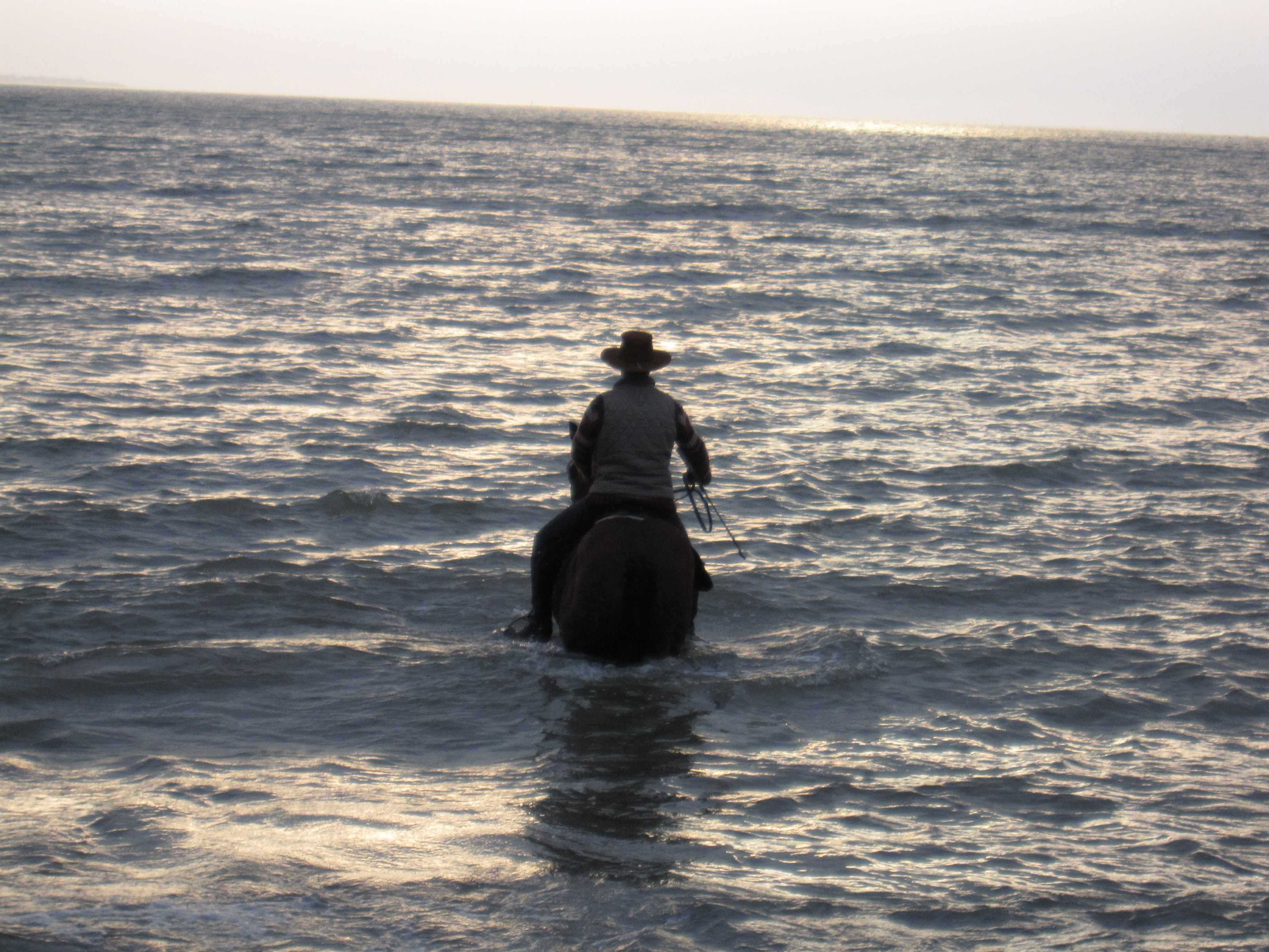 Novembre 2011 110
