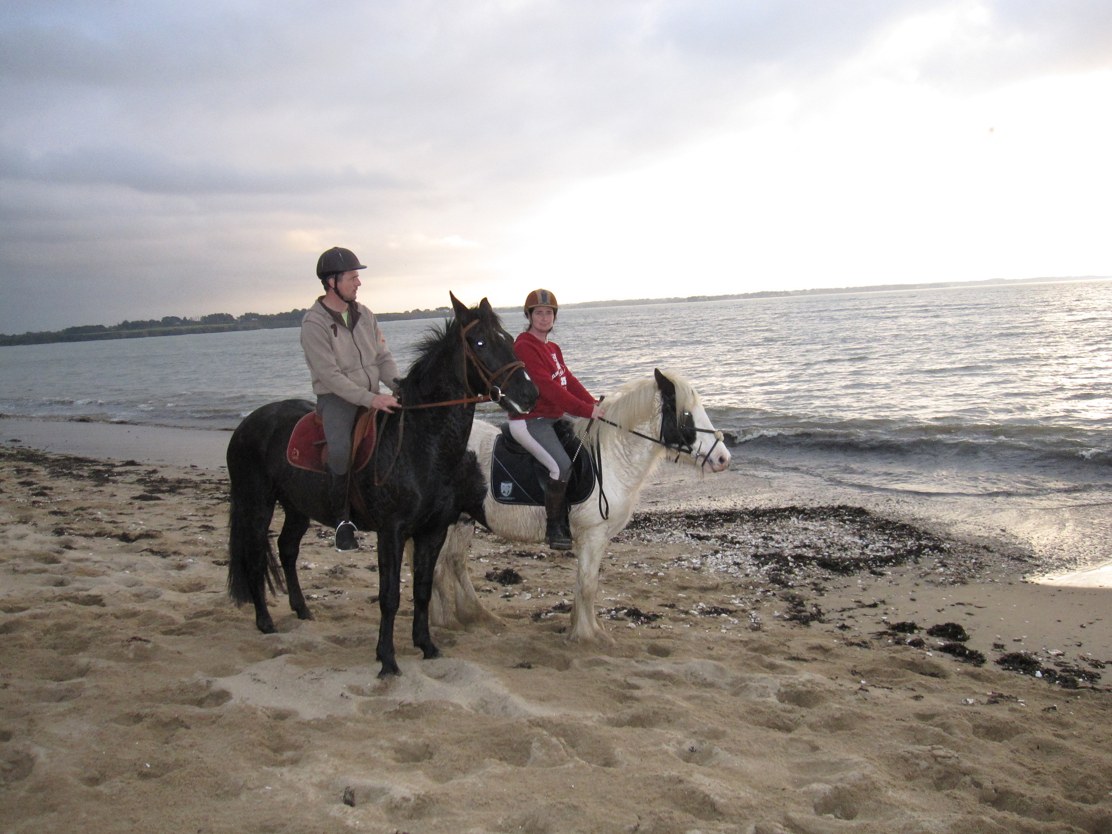 Novembre 2011 132