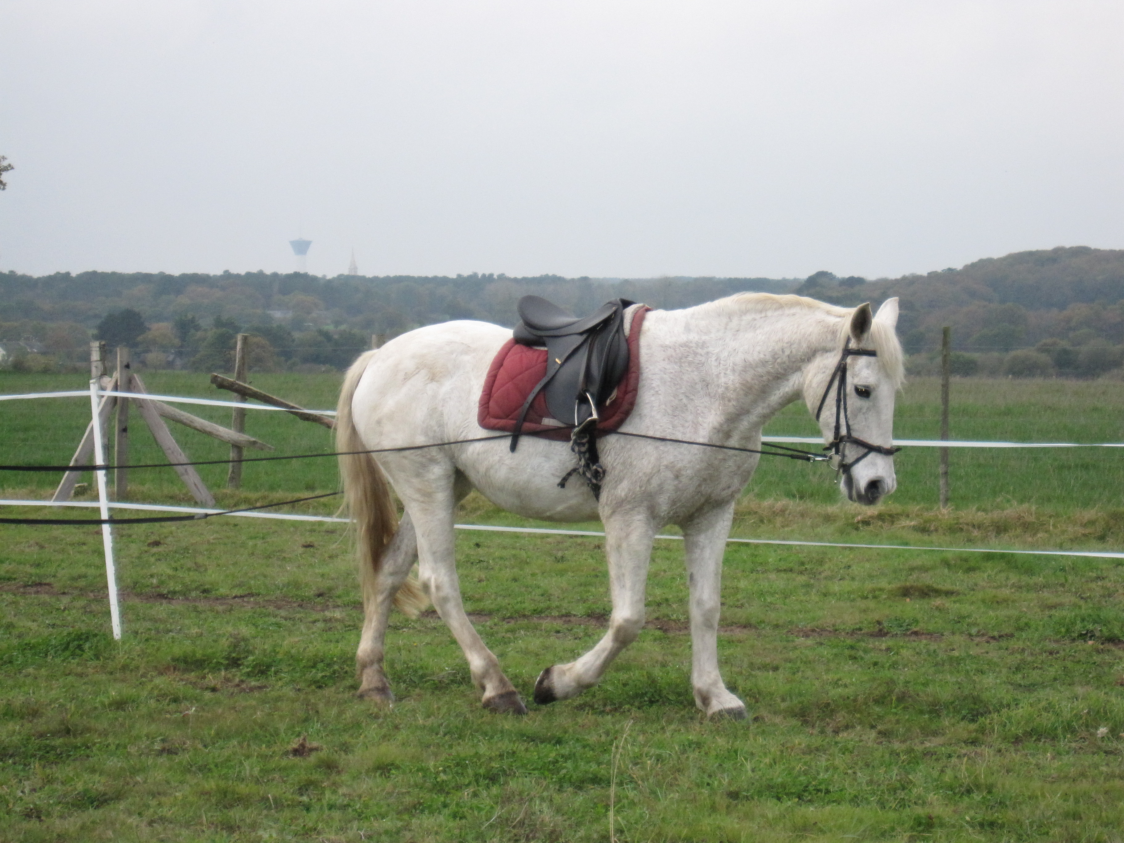 Novembre 2011 152
