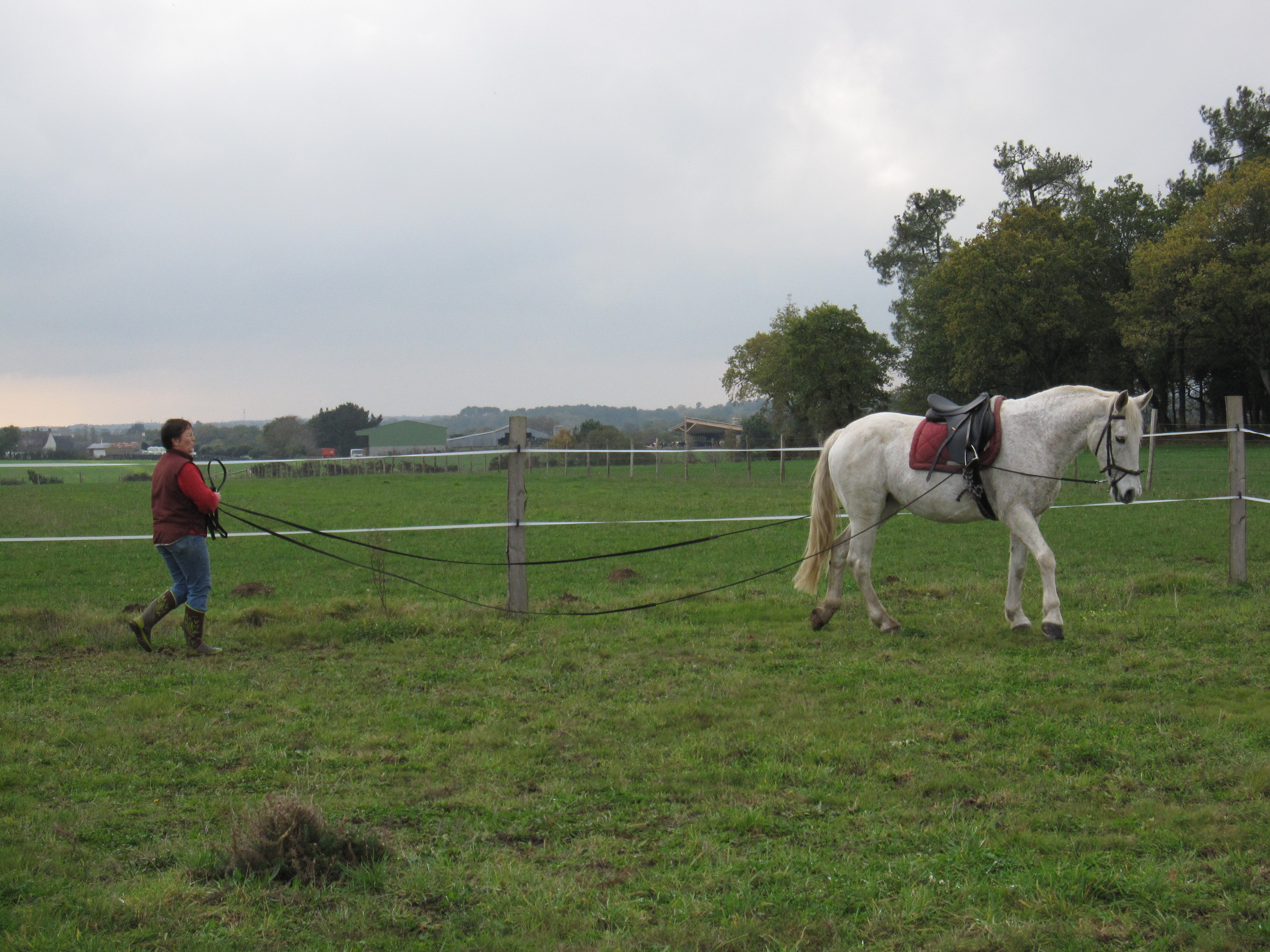 Novembre 2011 154