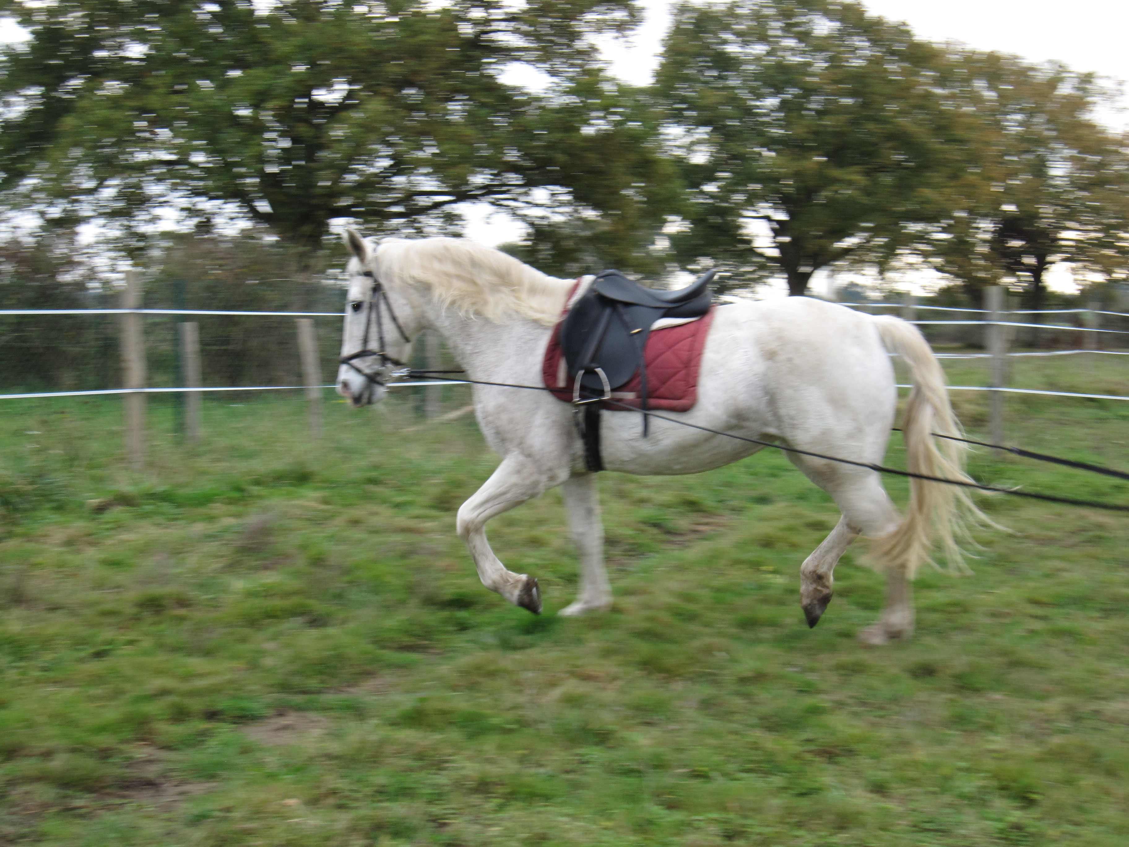 Novembre 2011 171