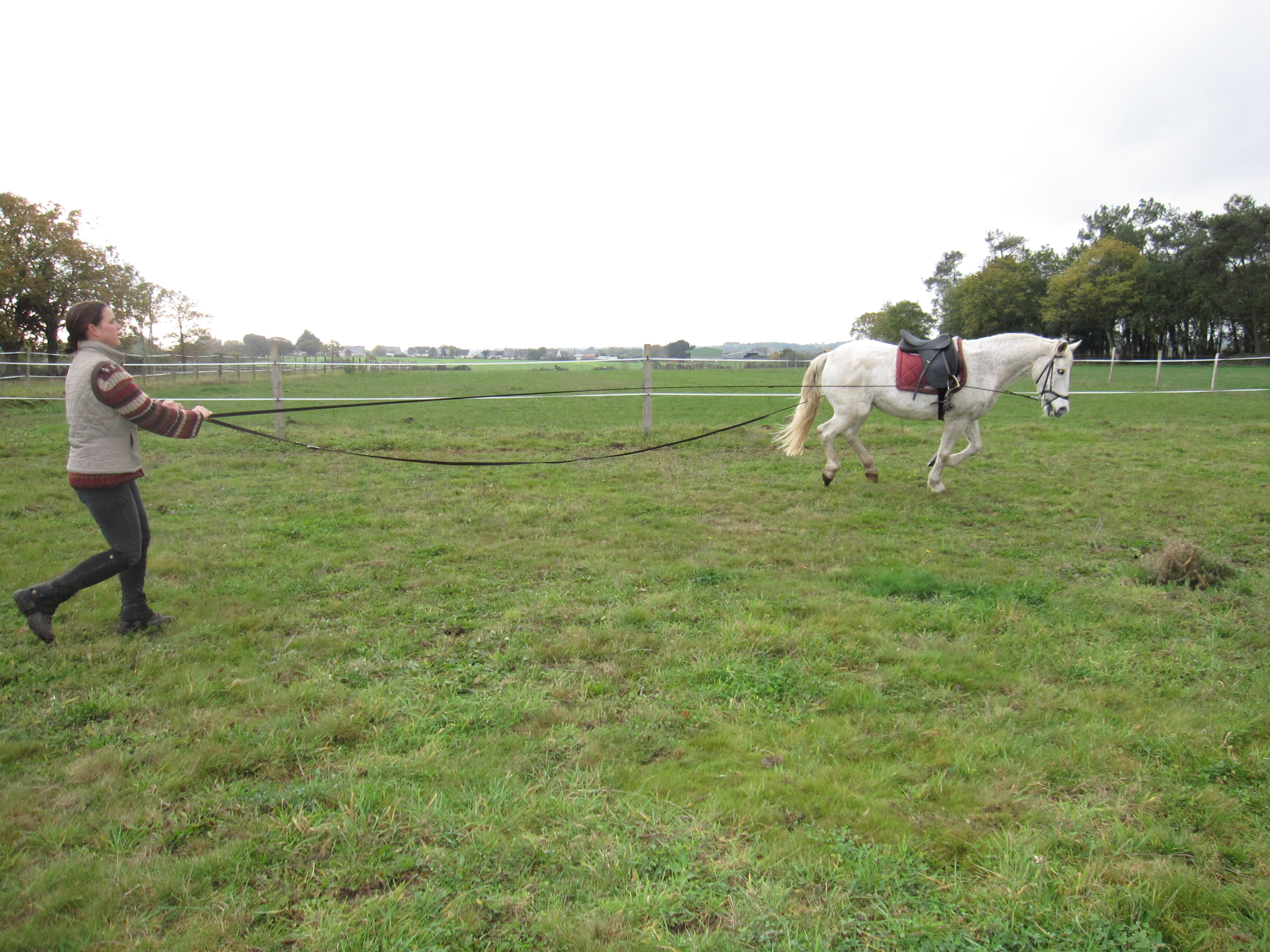 Novembre 2011 177