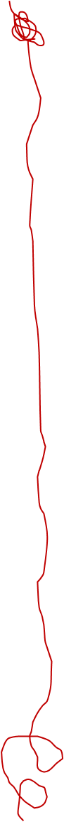 Image1