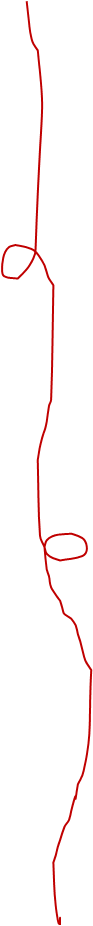 Image4