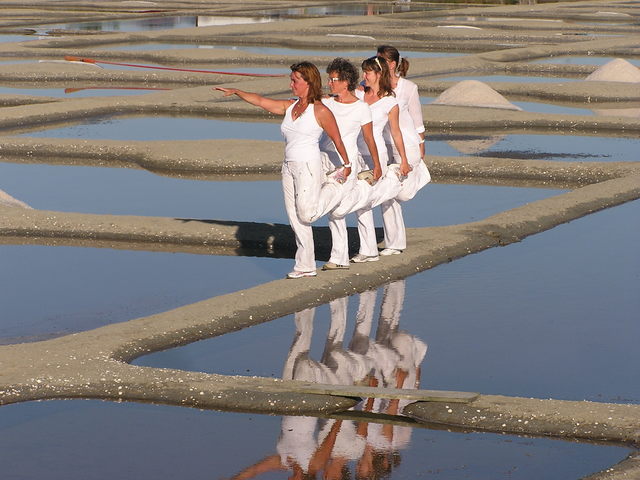 Photos 1 marais 2012