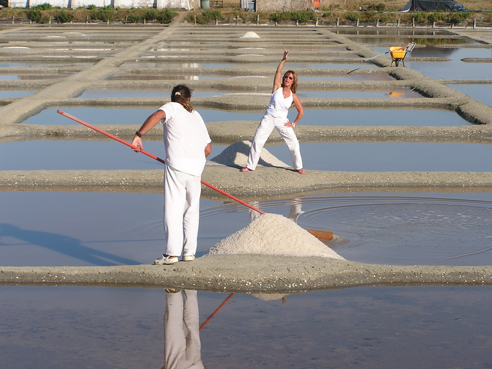 Photos 3 marais 2012