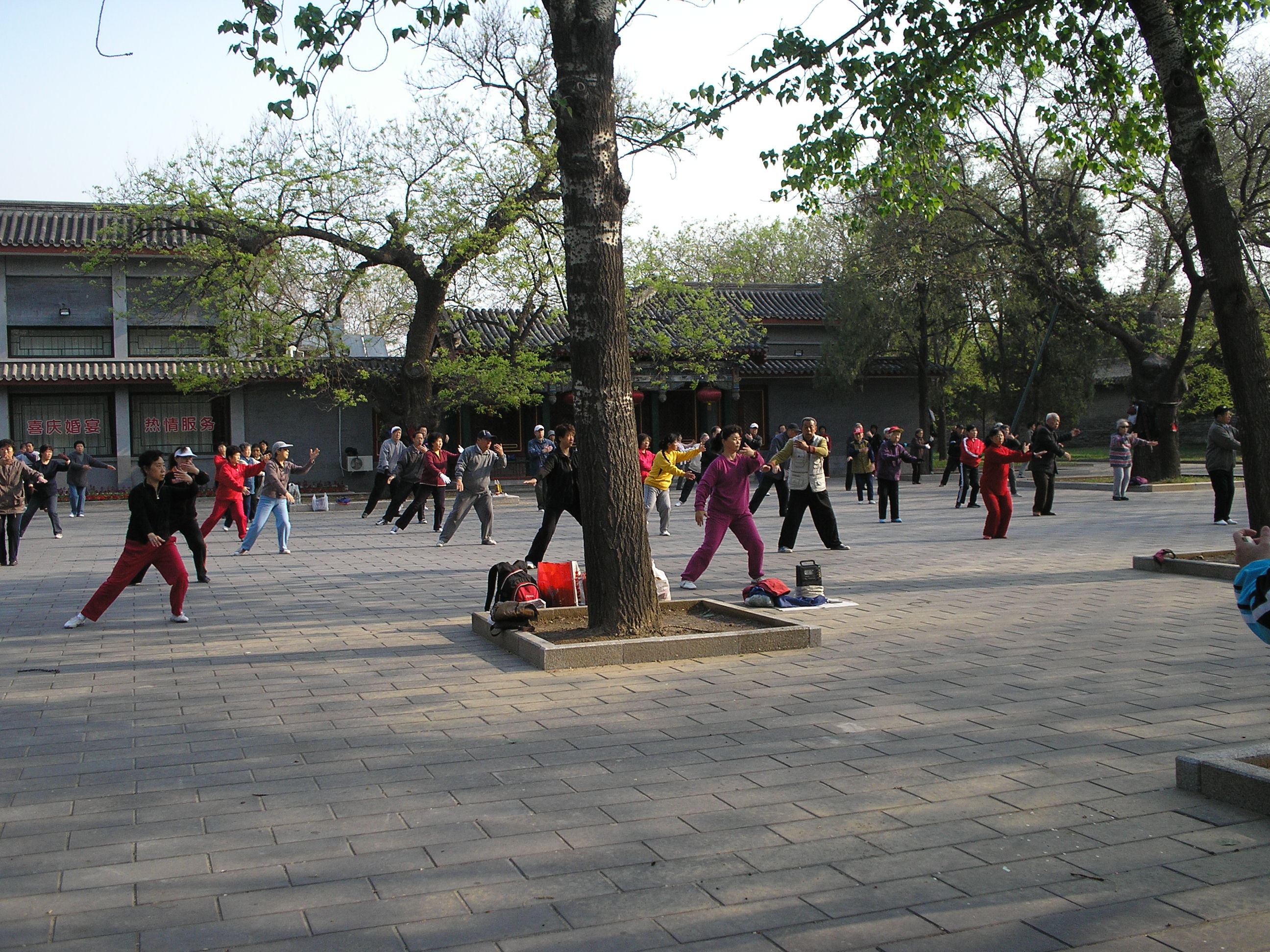P4230204