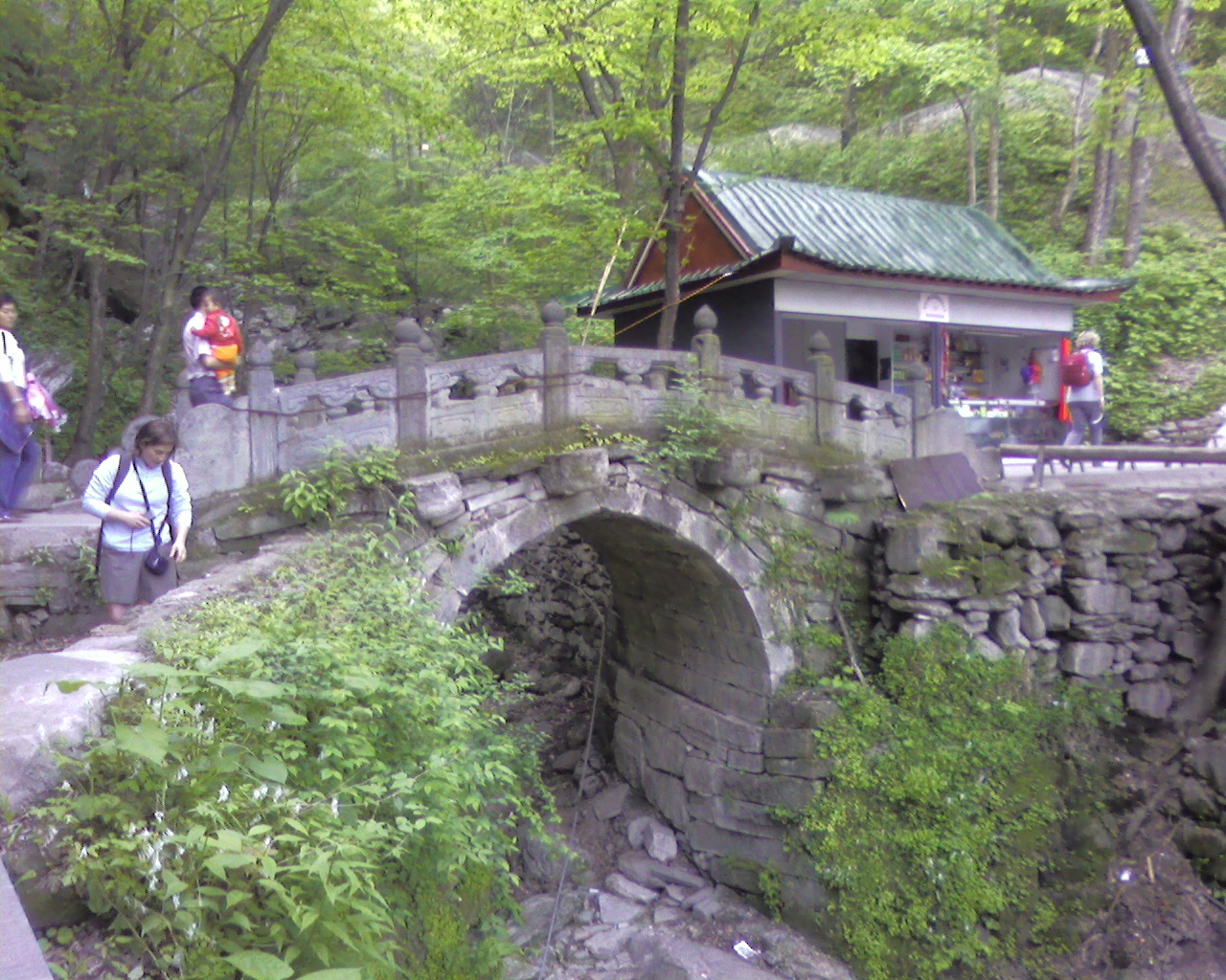 Photo0009