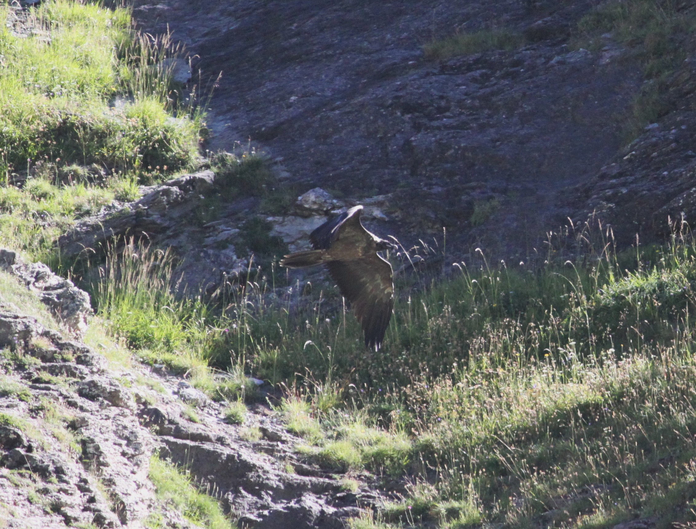 Vallandry 2012 08 01 3657