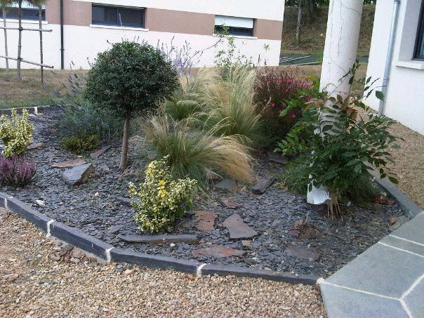 402246 520064864677326 1822417672 n