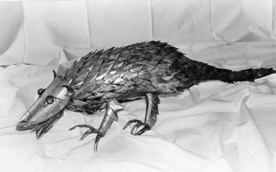 Pangolin1
