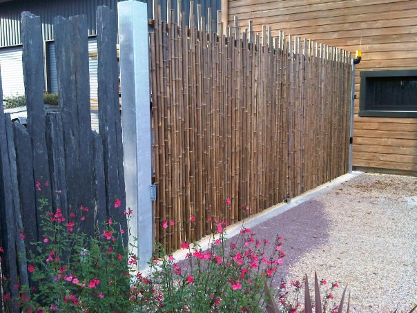 Brise vue en Bambous