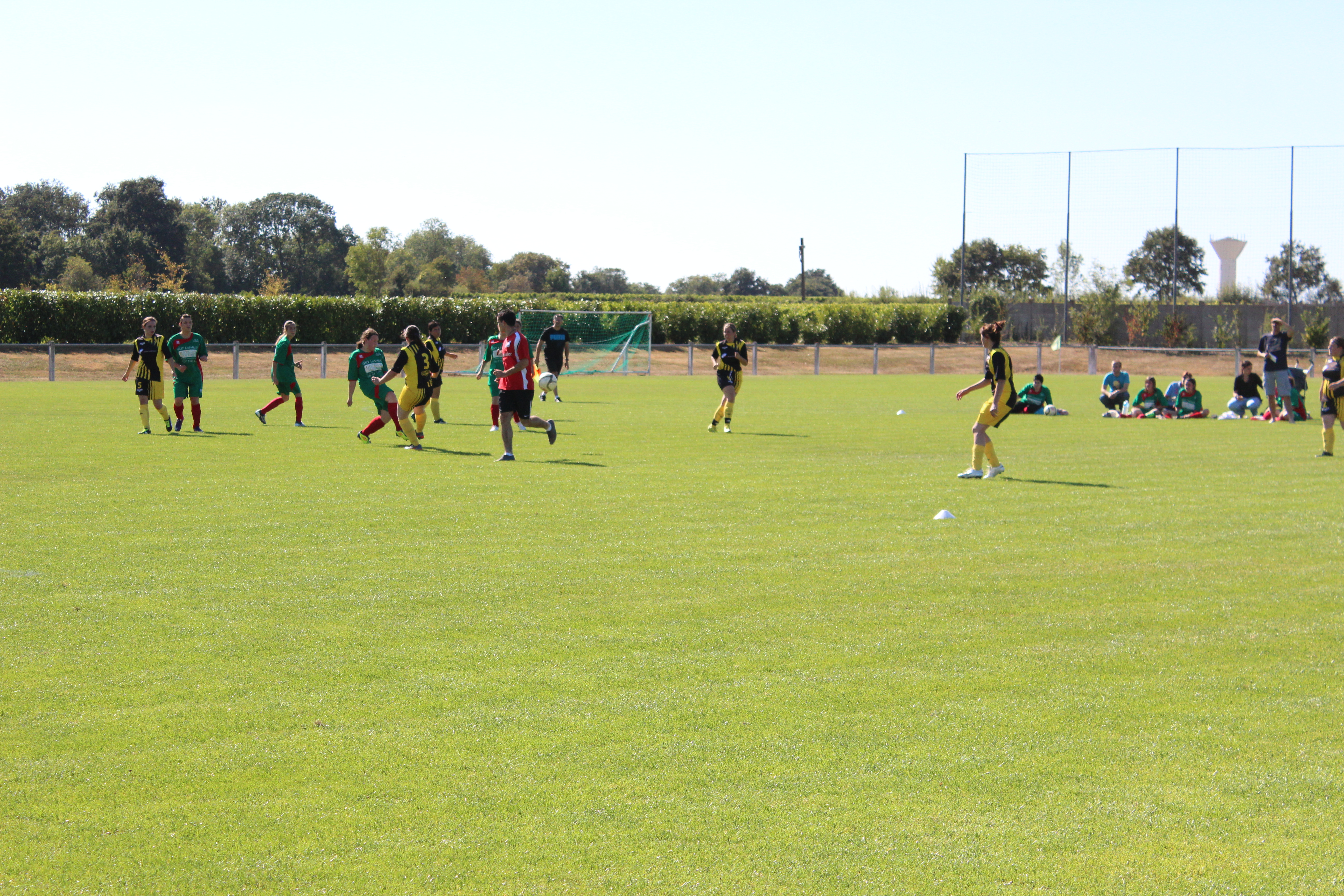 Foot feminin 007