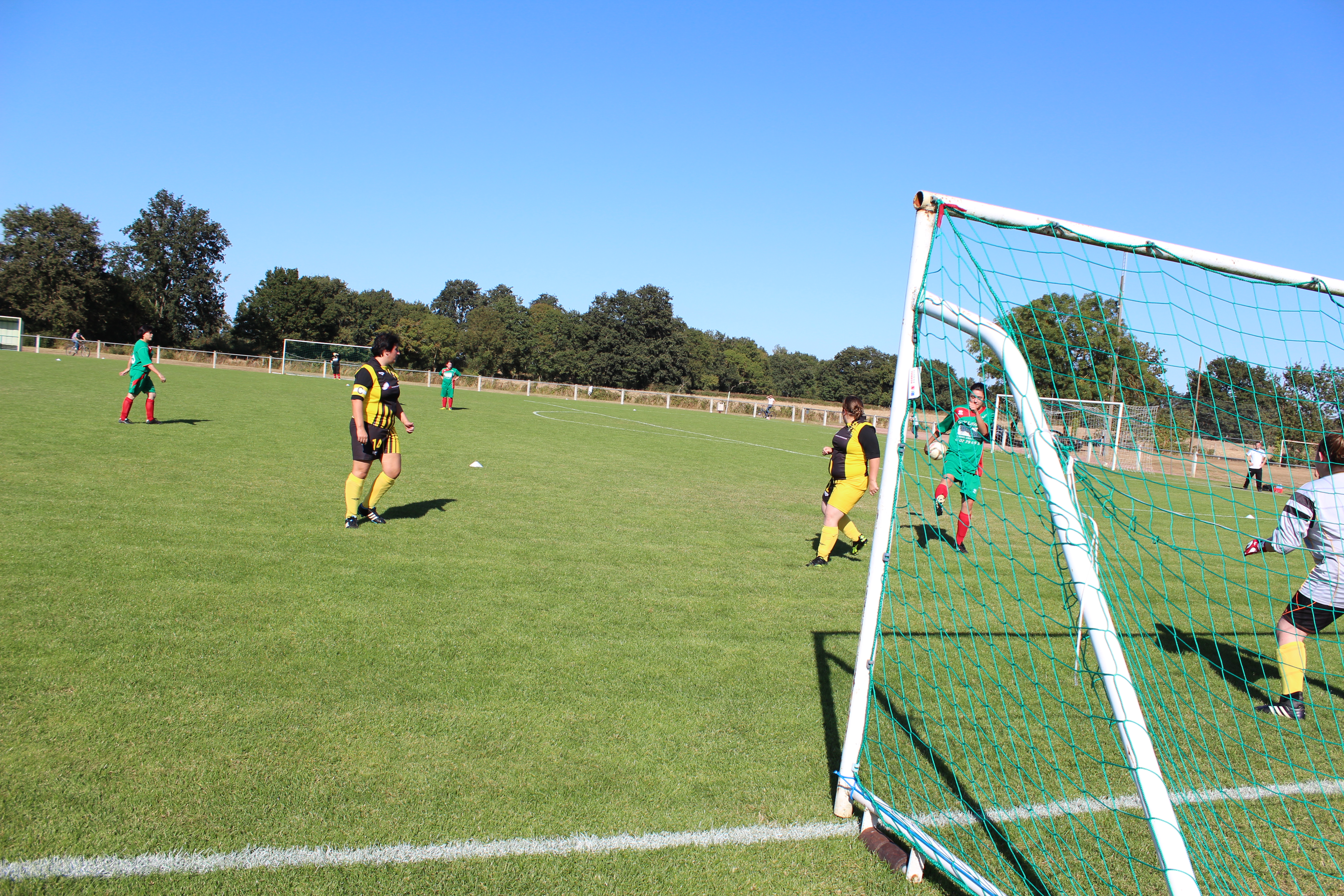 Foot feminin 053