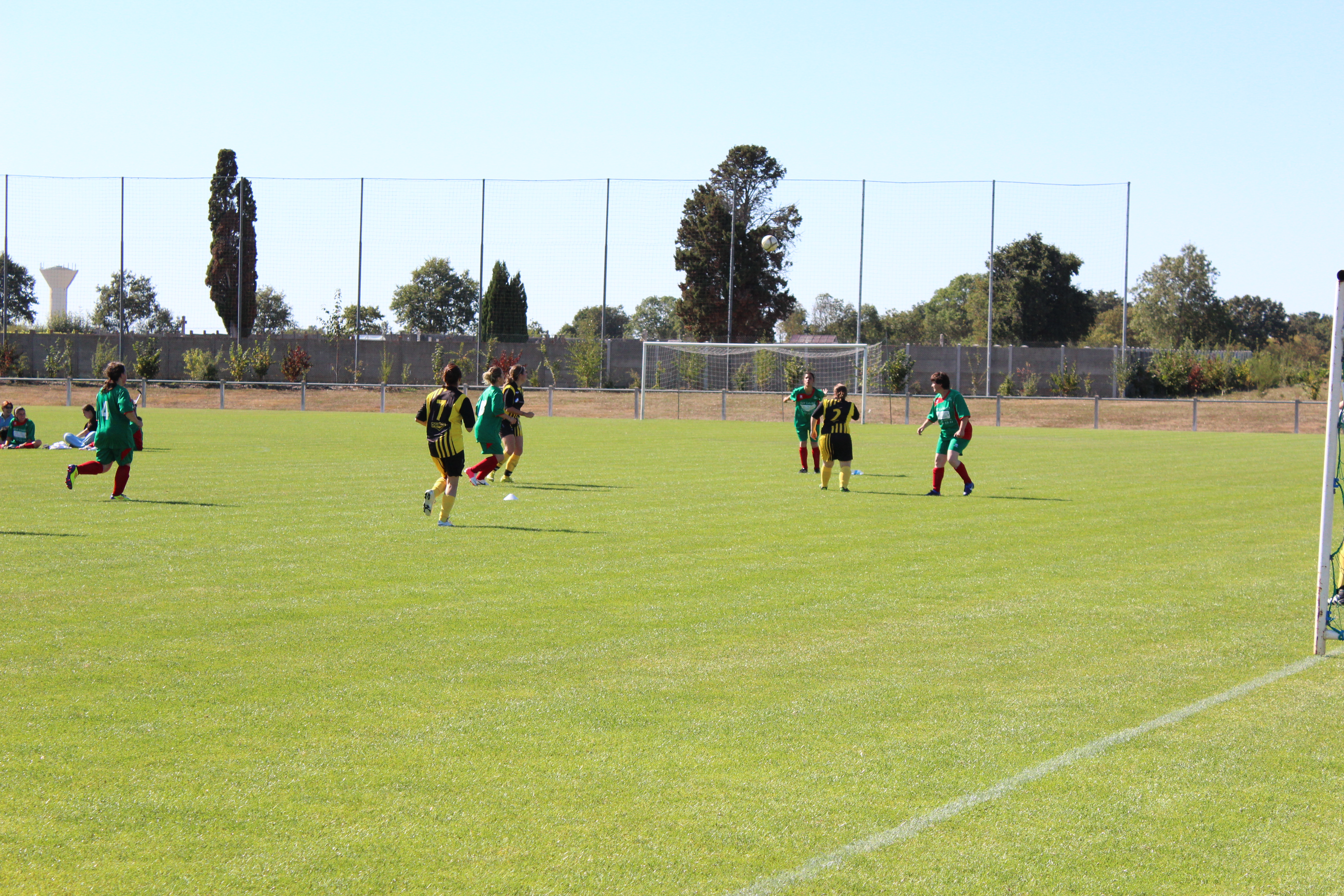 Foot feminin 008