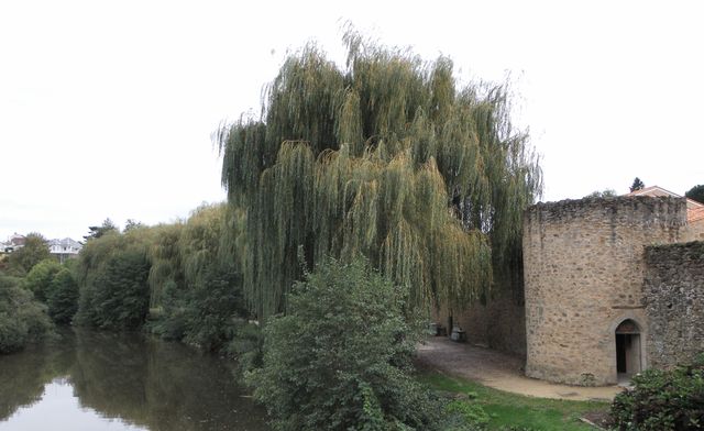 Parthenay 47