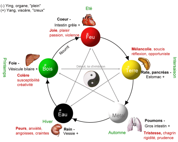 Cycle des 5 elements