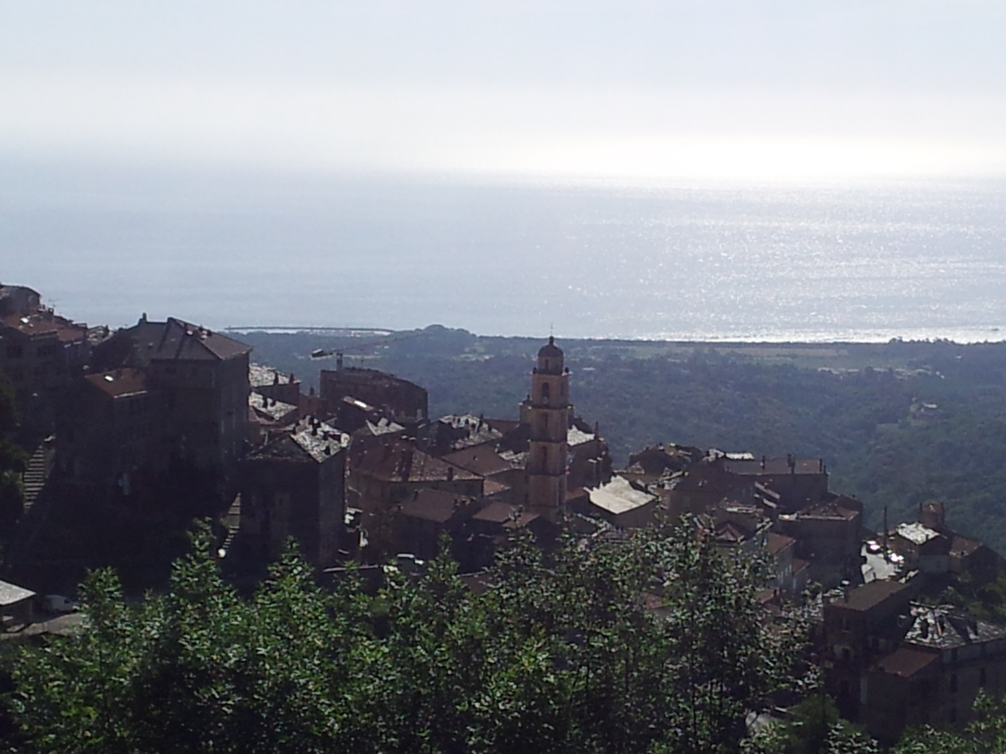 Cervione 1