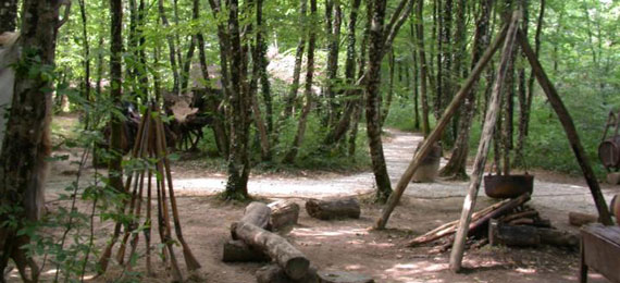 Grasla pano