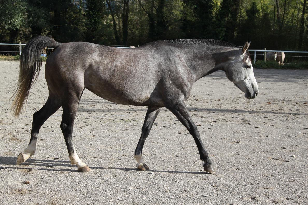 Shadow oct 2012 28 