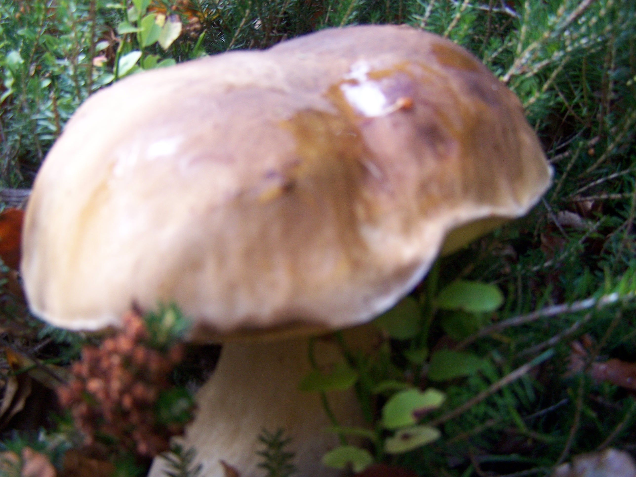 Sejour mamadou toussaint 2012 088