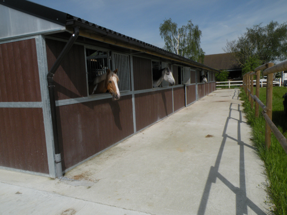 Vue côté paddock