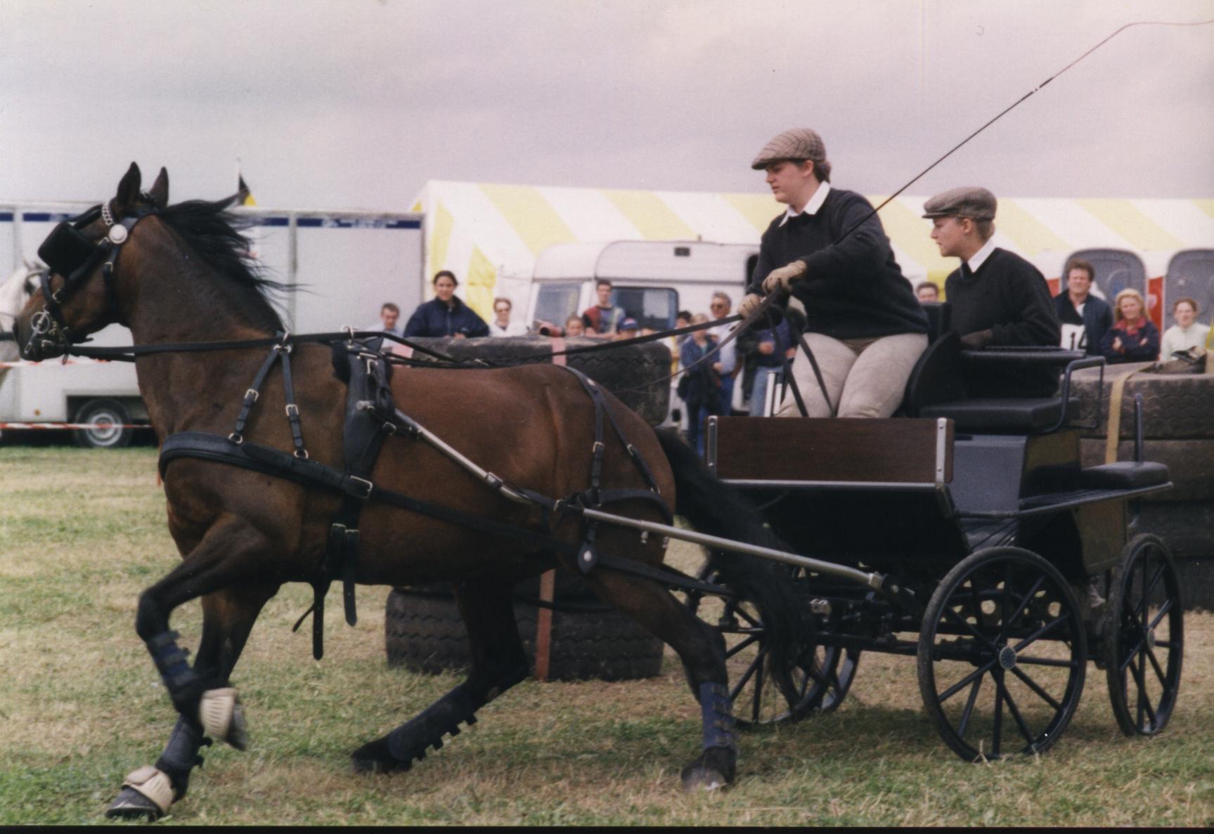 Concours d'attelage avec Corentin Ciney 2ème catégorie 1 cheval