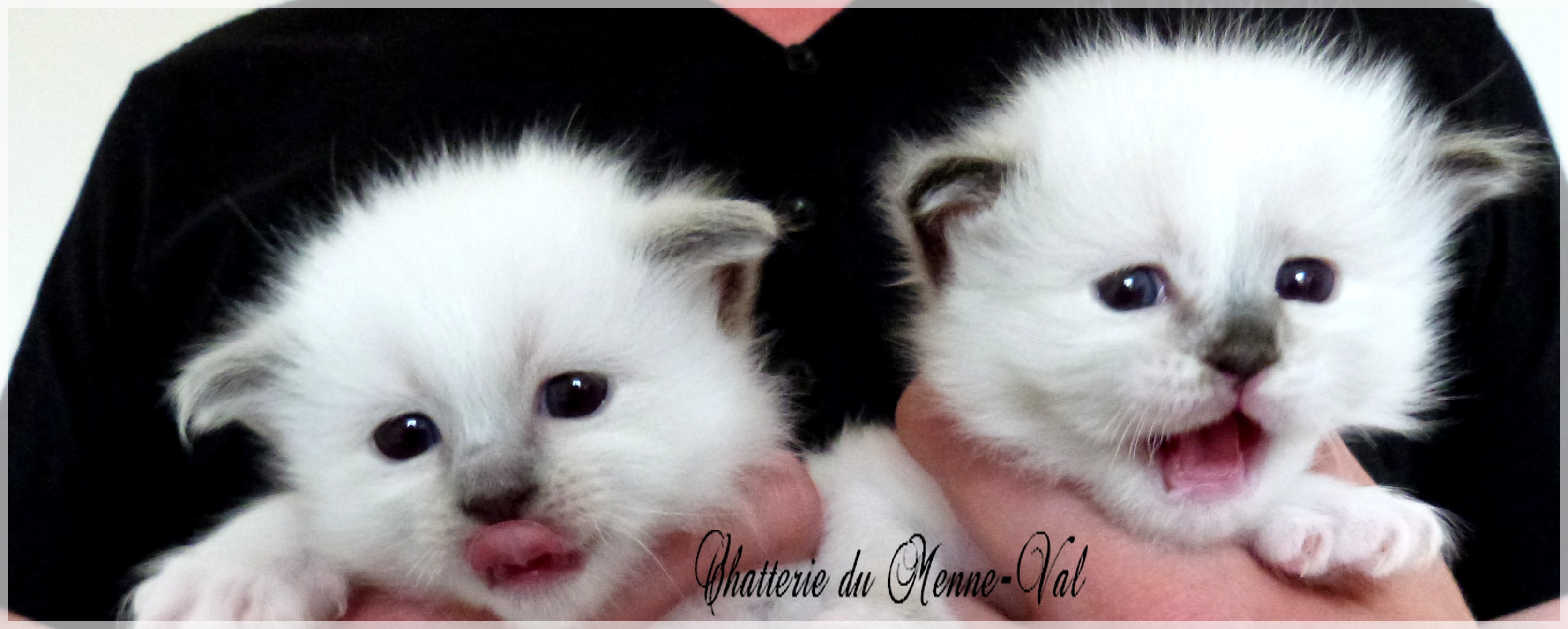 Les deux pepettes 