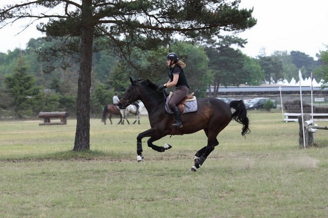 Lutecia cross galop