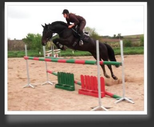 Nat so el bocado debut 2011