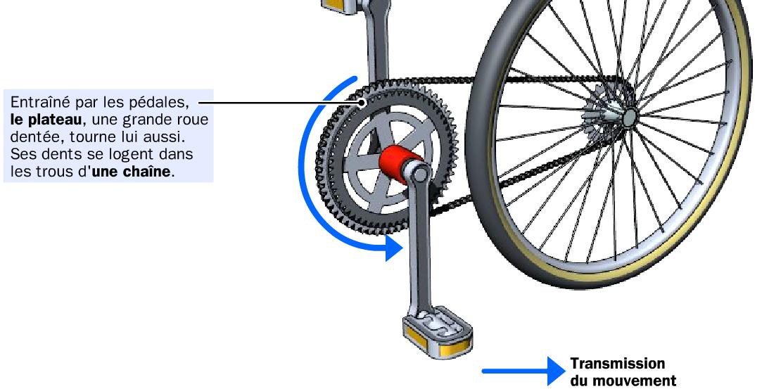 Velo trans1