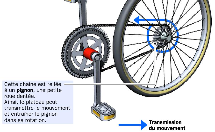 Velo trans2