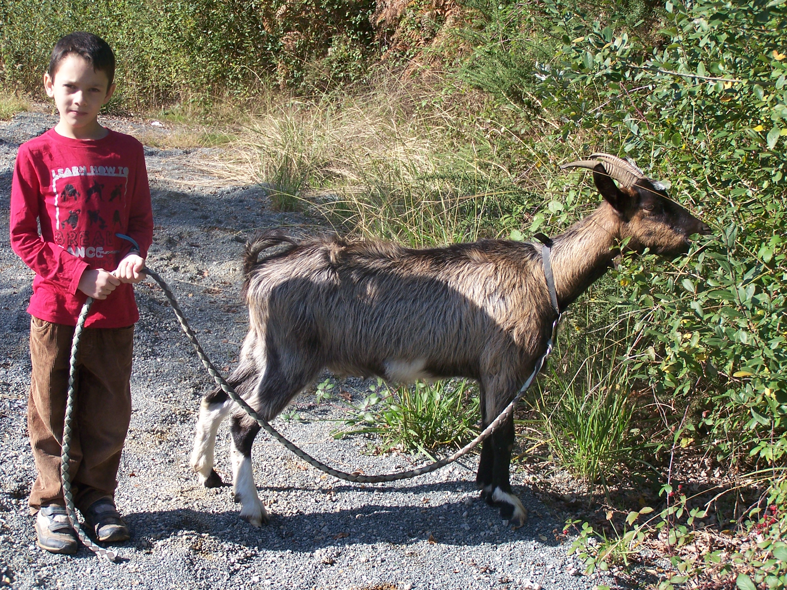 Sejour mamadou toussaint 2012 020