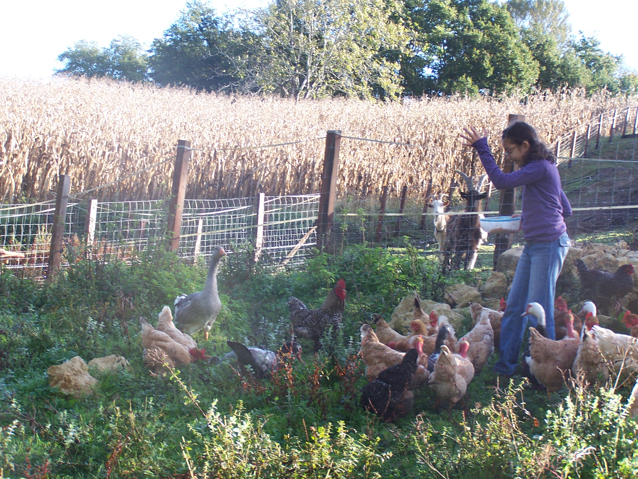 Sejour mamadou toussaint 2012 209