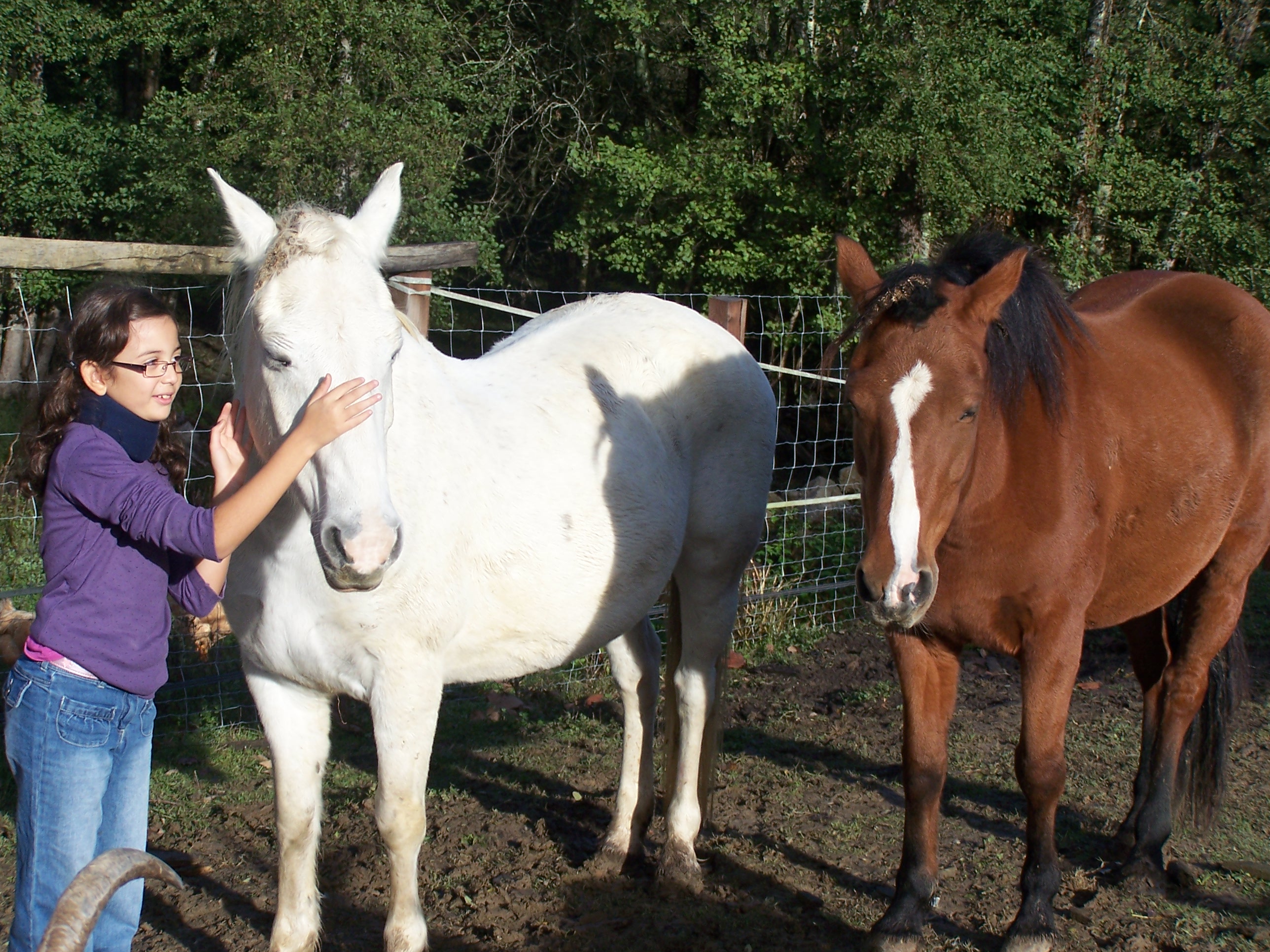 Sejour mamadou toussaint 2012 212