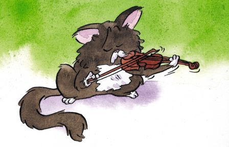 Chat violon m