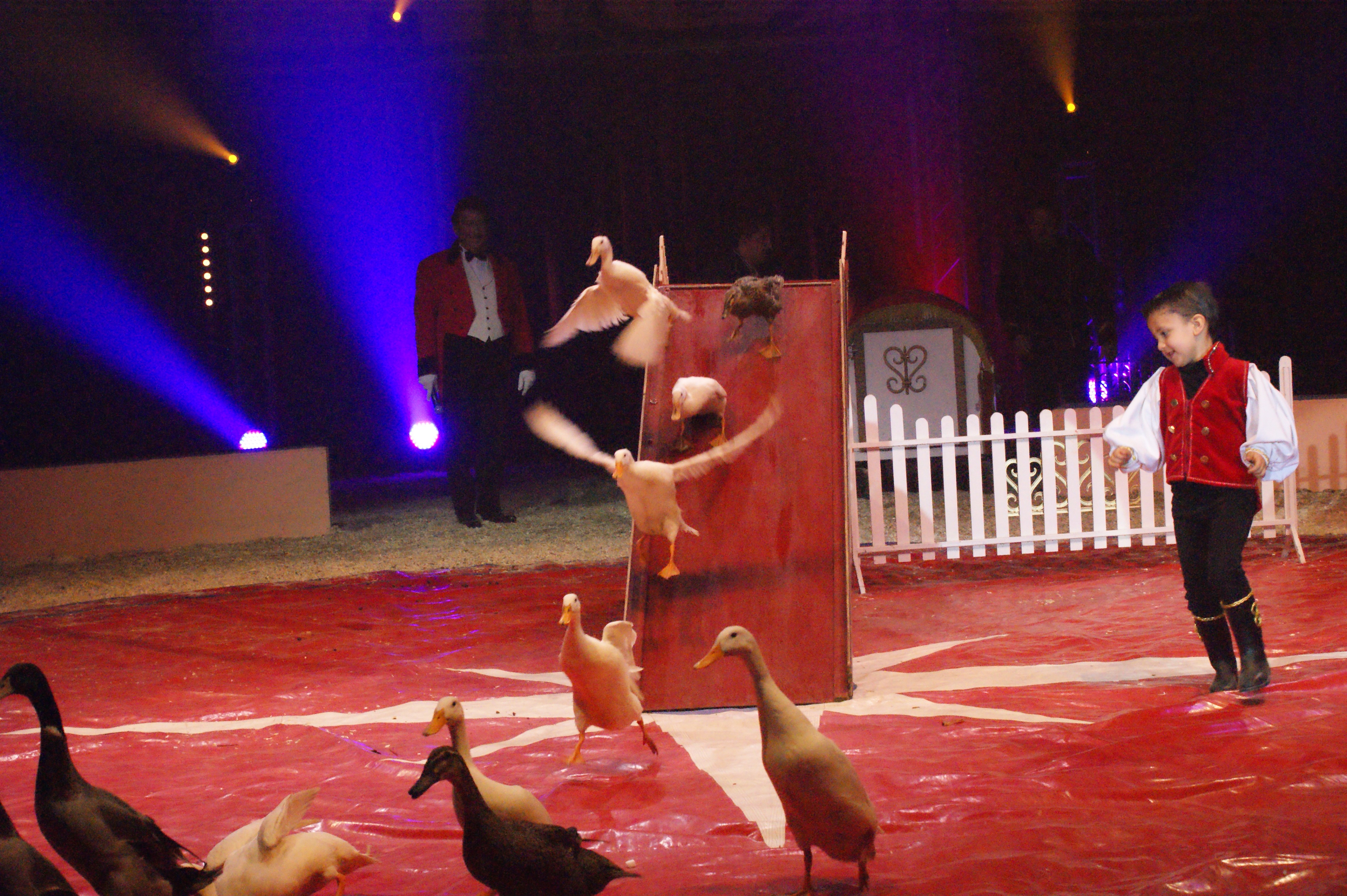 Les mureaux mars 2012 057