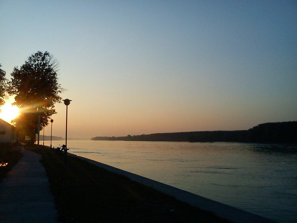 Dsc00001