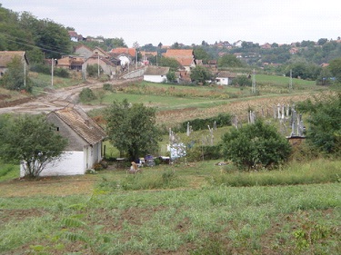 Groblje