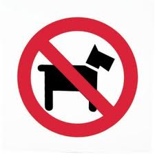 No dog